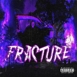 Cover of Fracture