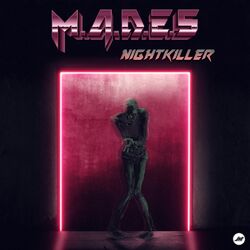 Cover of Nightkiller