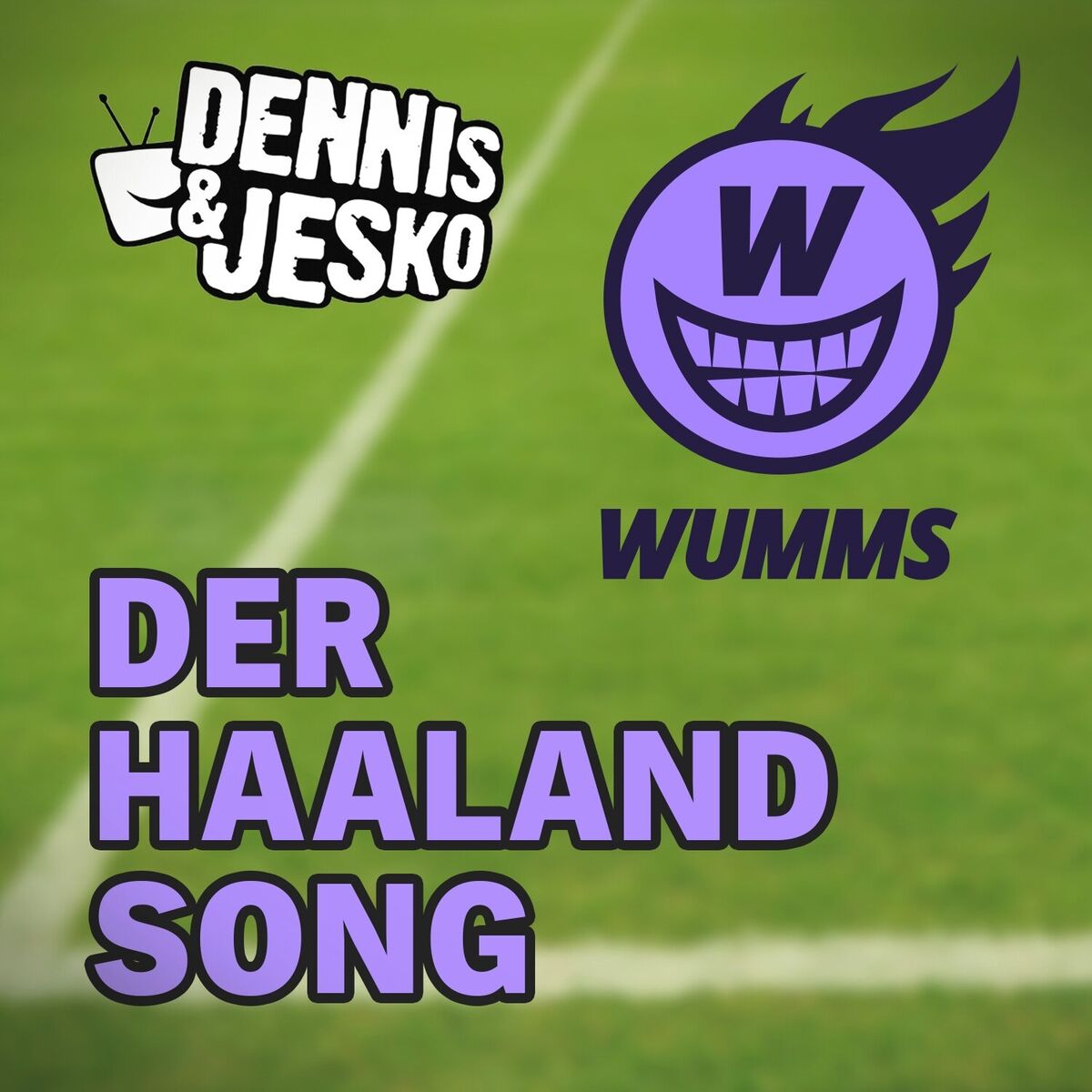 Album cover of Der Haaland Song