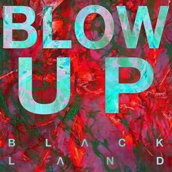 Cover of Blow Up