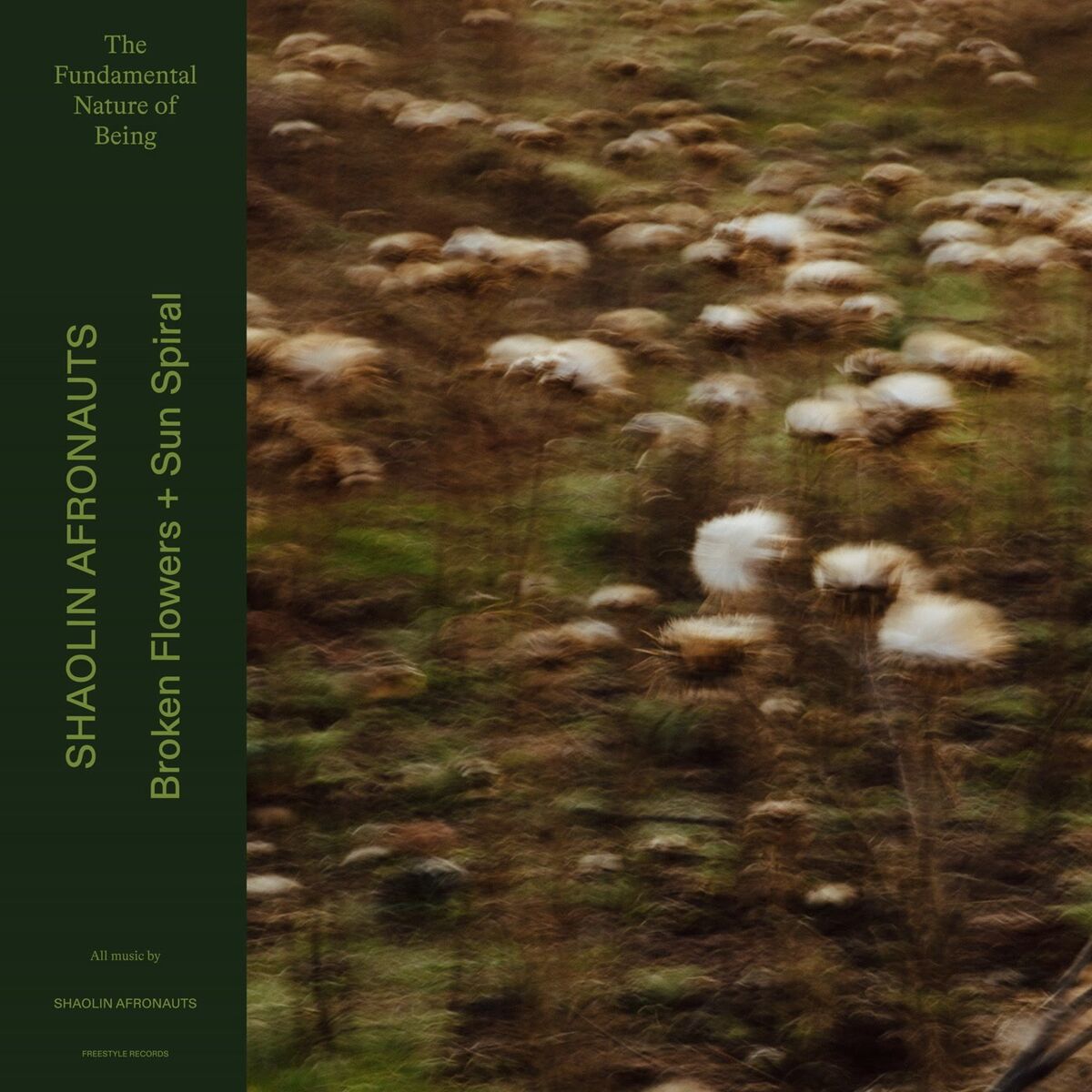 Album cover of Broken Flowers / Sun Spiral