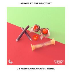 Cover of U I Need (feat. The Ready Set) [Kamil Ghaouti Remix]