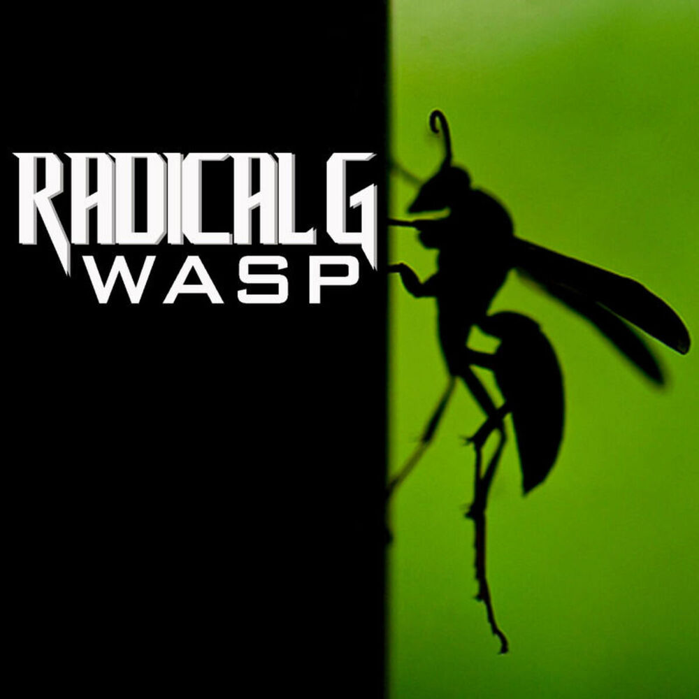 Picture of Wasp