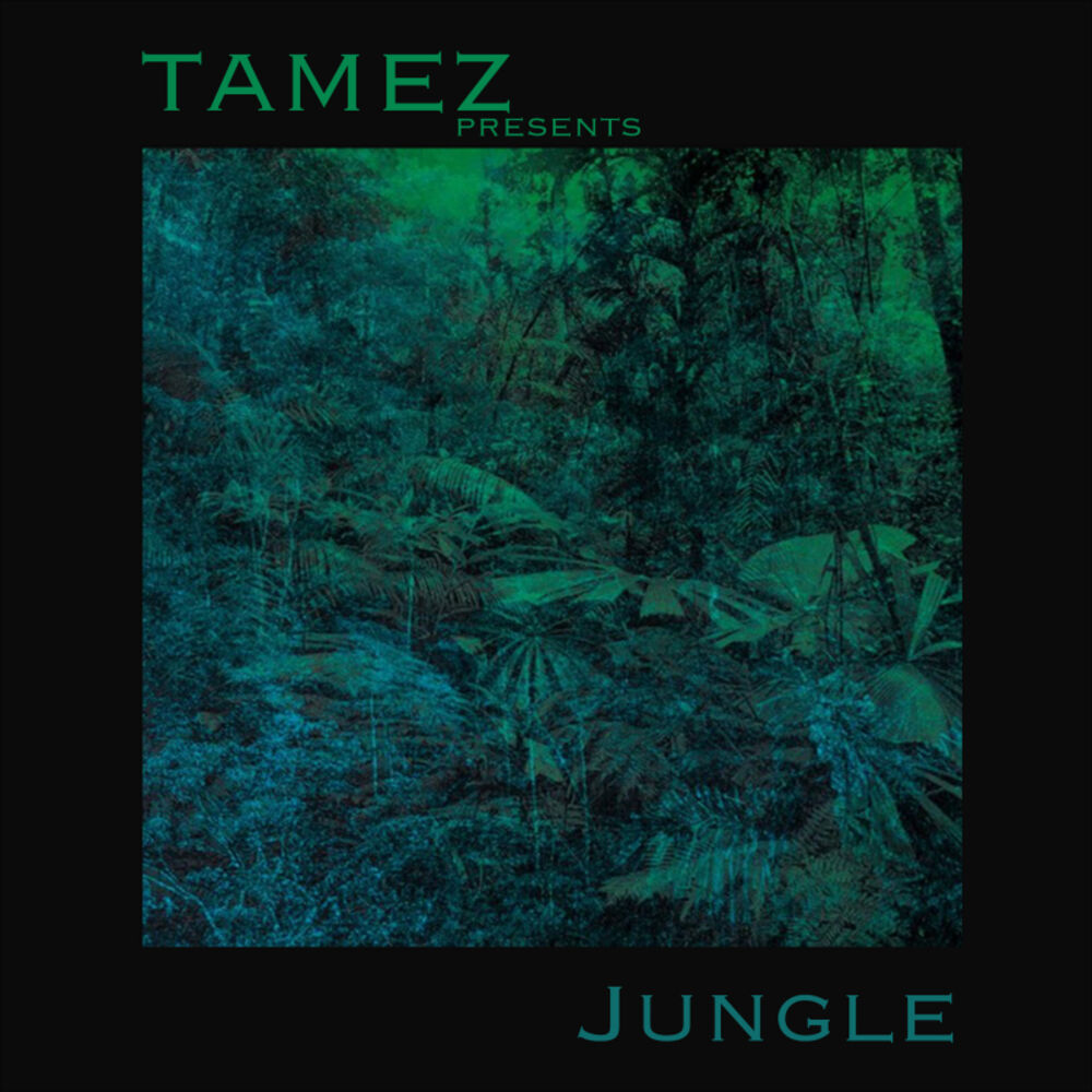 Picture of Jungle
