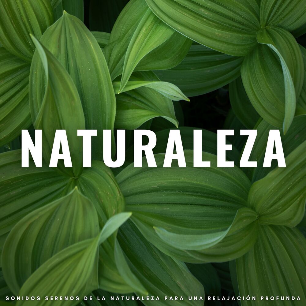 Picture of Naturaleza: Sonidos Serenos De La Naturaleza Para Una Relajación Profunda