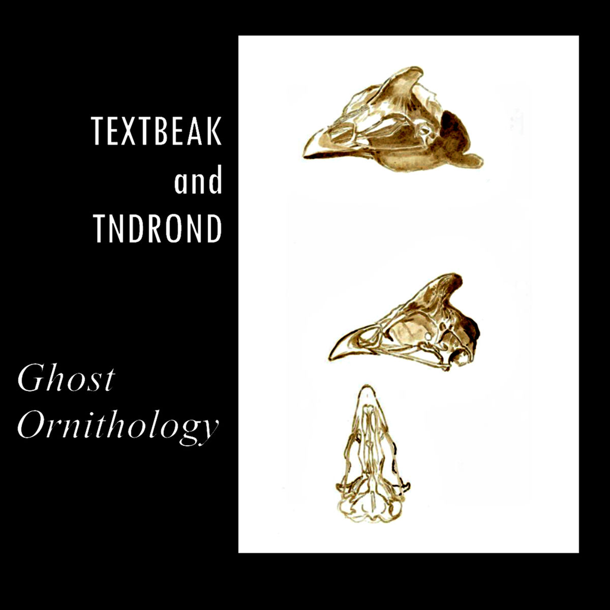 Album cover of Ghost Ornithology
