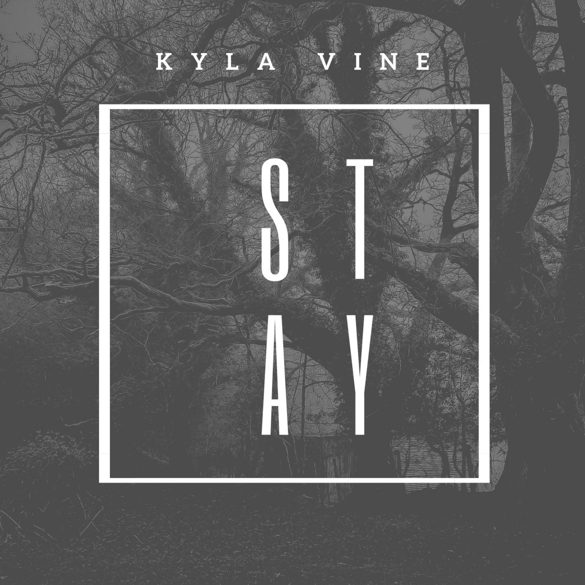 Album cover of Stay