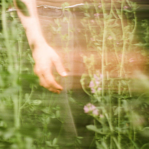 summer rain