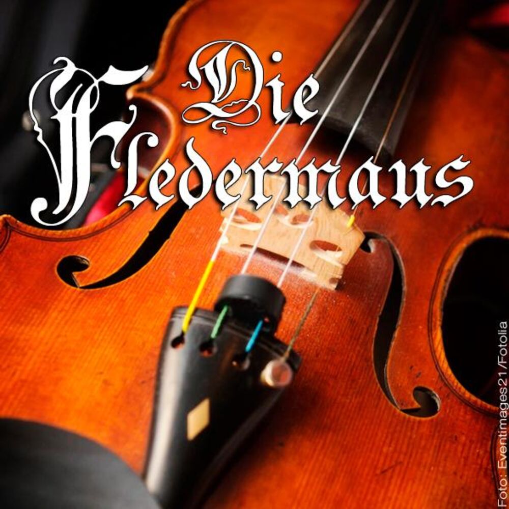 Picture of Die Fledermaus