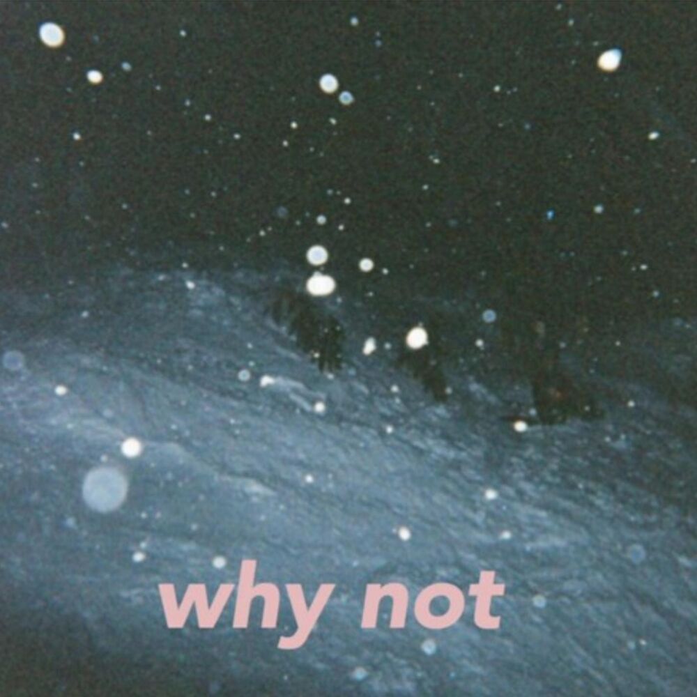 Picture of Why Not