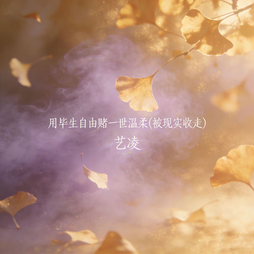 用毕生自由赌一世温柔 (被现实收走)