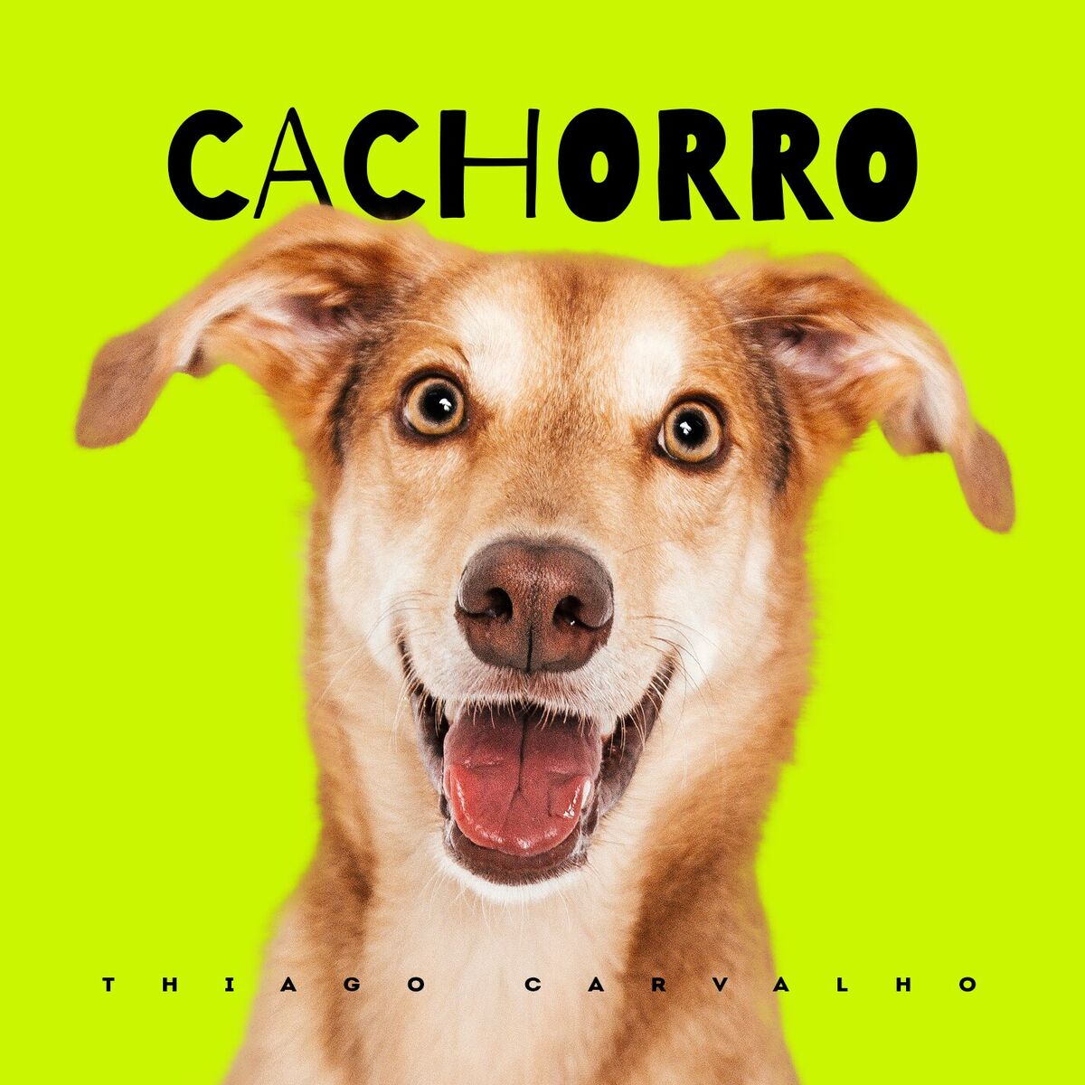 Album cover of Cachorro