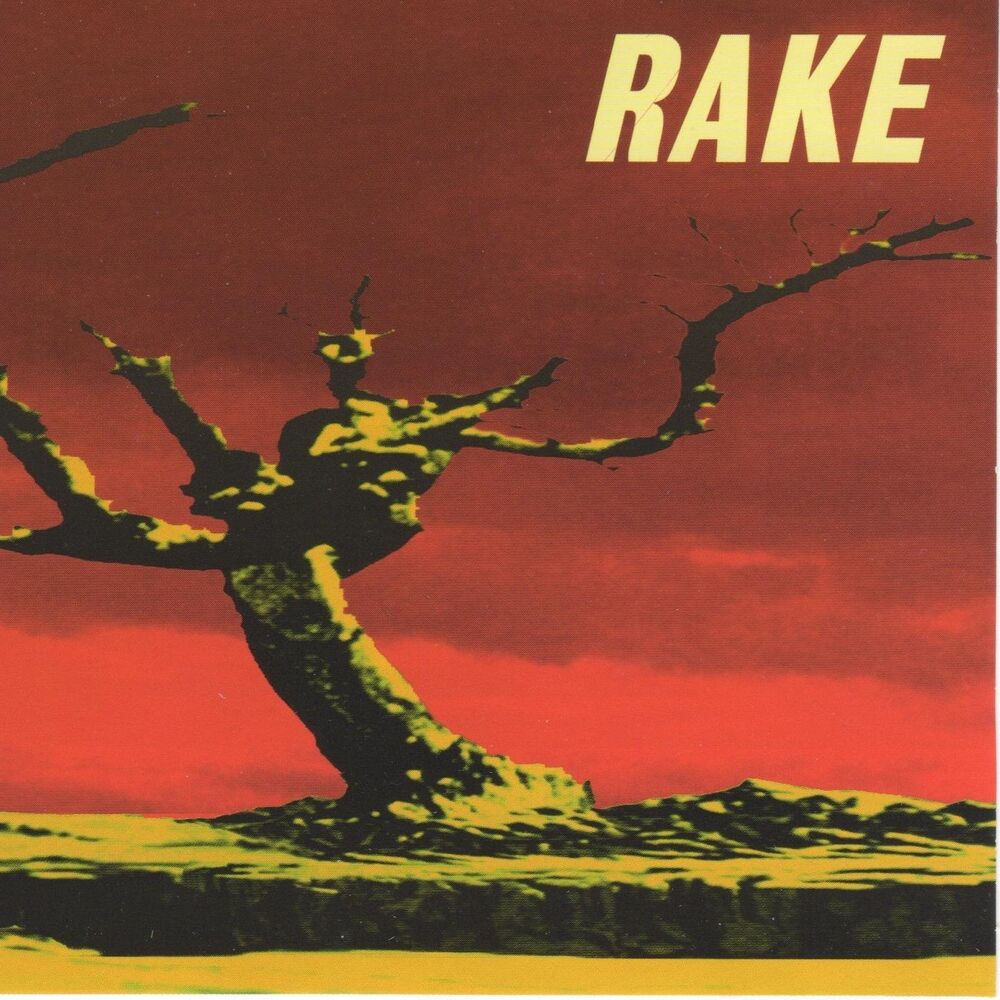 Picture of Rake