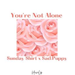 Cover of You're Not Alone