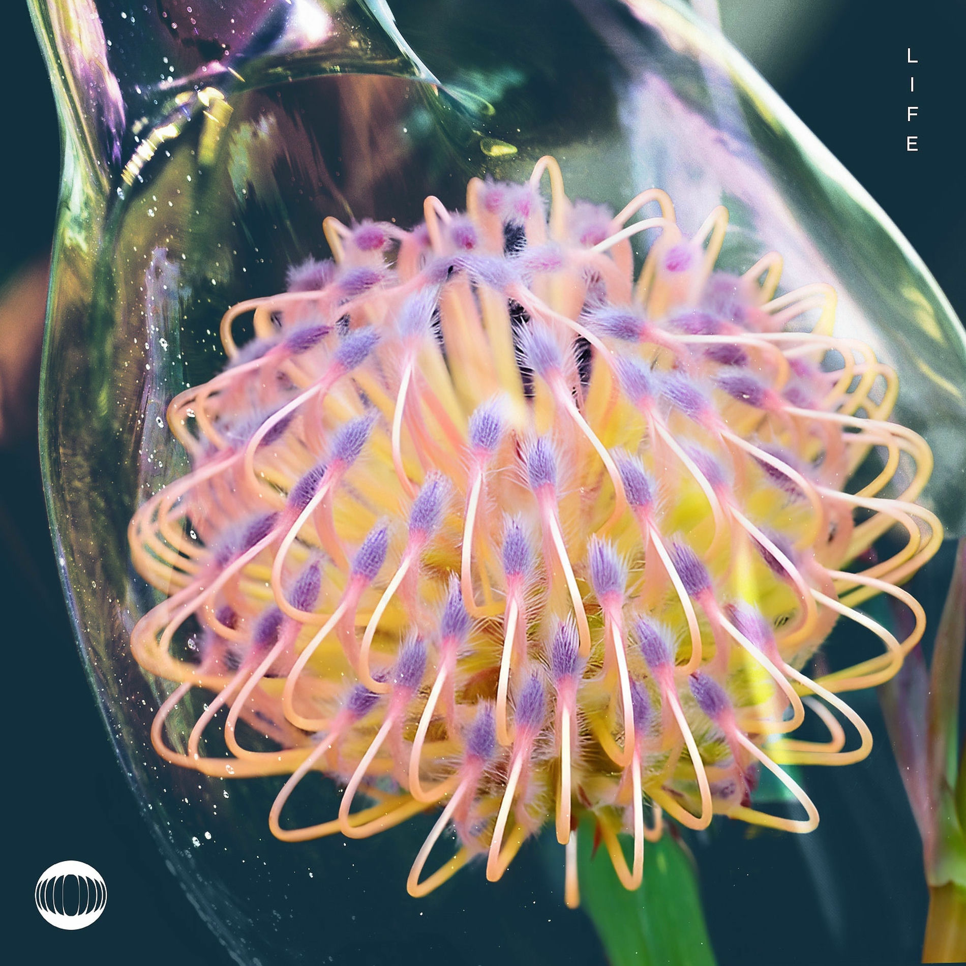 Album cover of Life (Can't Get Much Better)