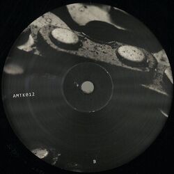 Cover of Amotik 012
