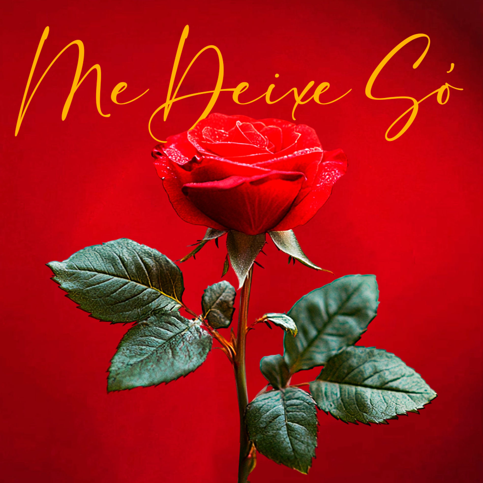 Album cover of Me Deixe Só