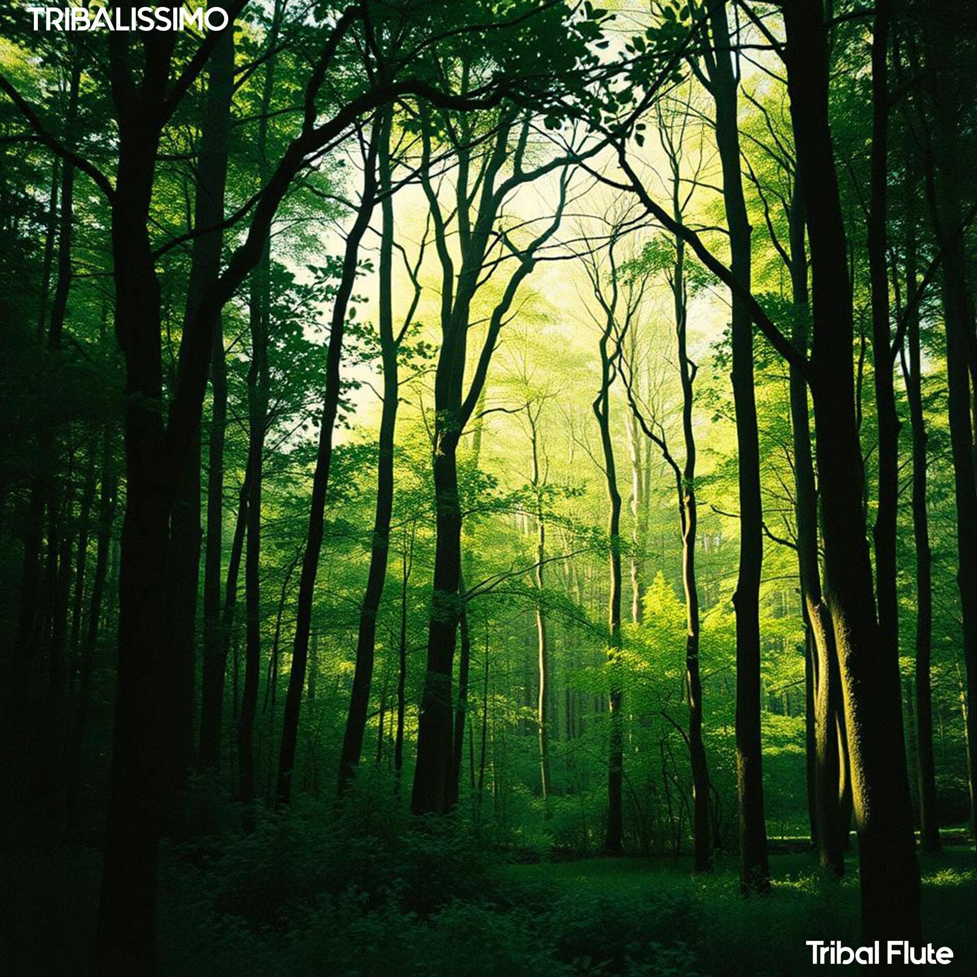 Album cover of Tribal Flute