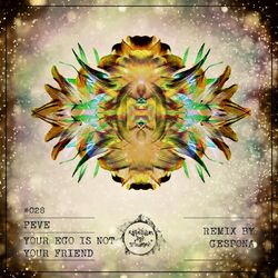 Cover of Your Ego Is Not Your Friend