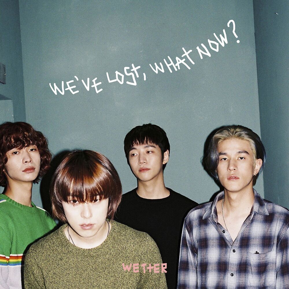 Picture of We've Lost, What Now?
