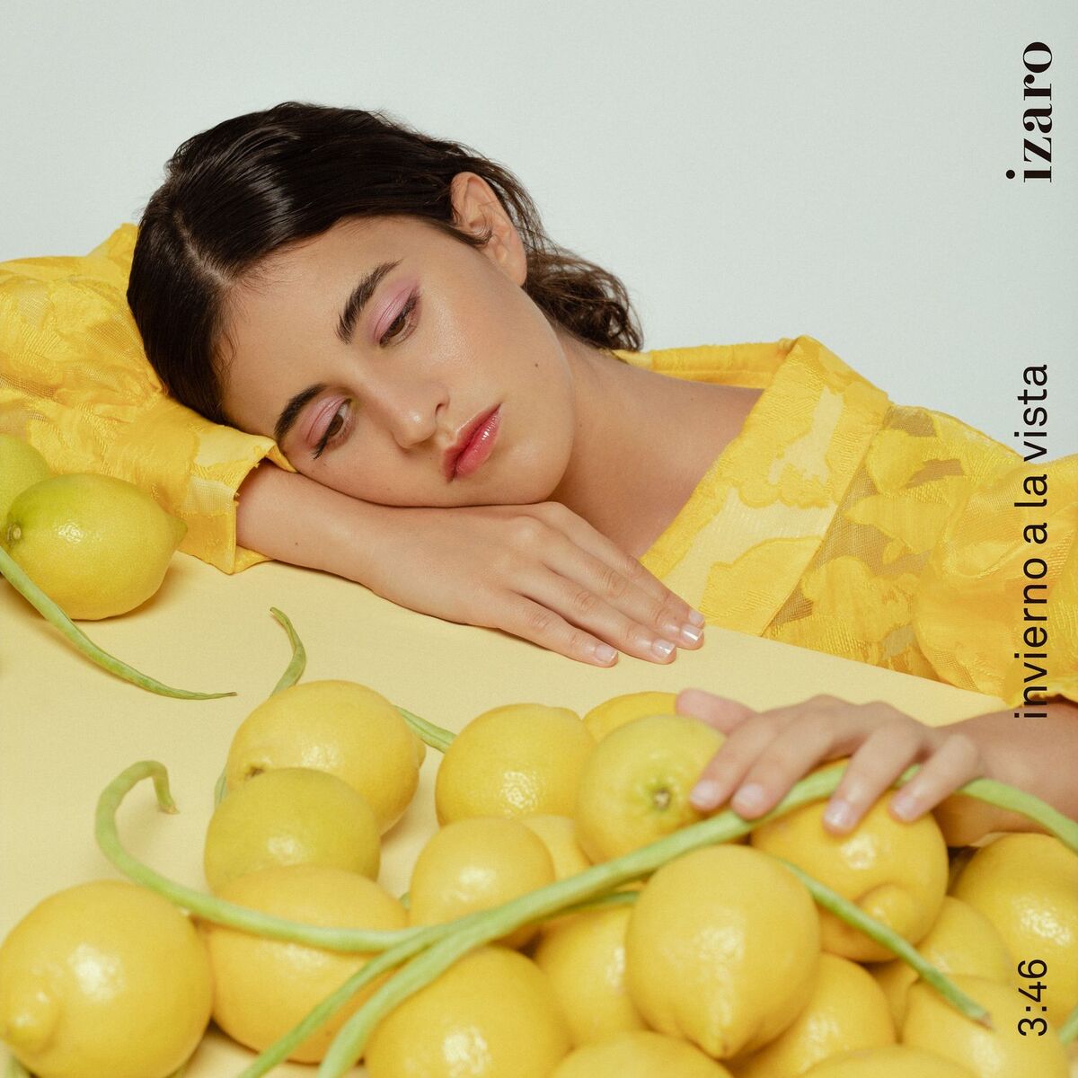 Album cover of Invierno a la Vista