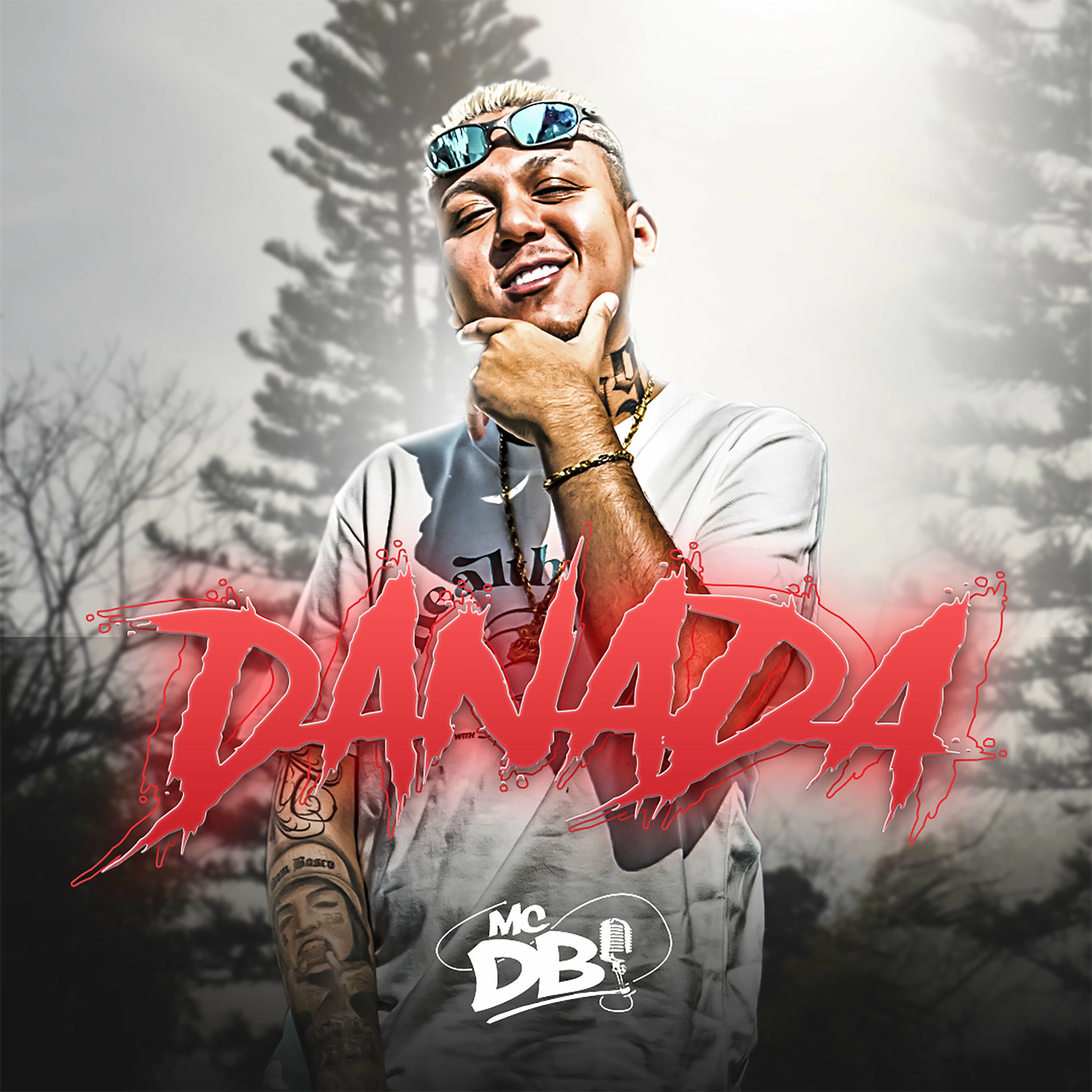 Album cover of Danada