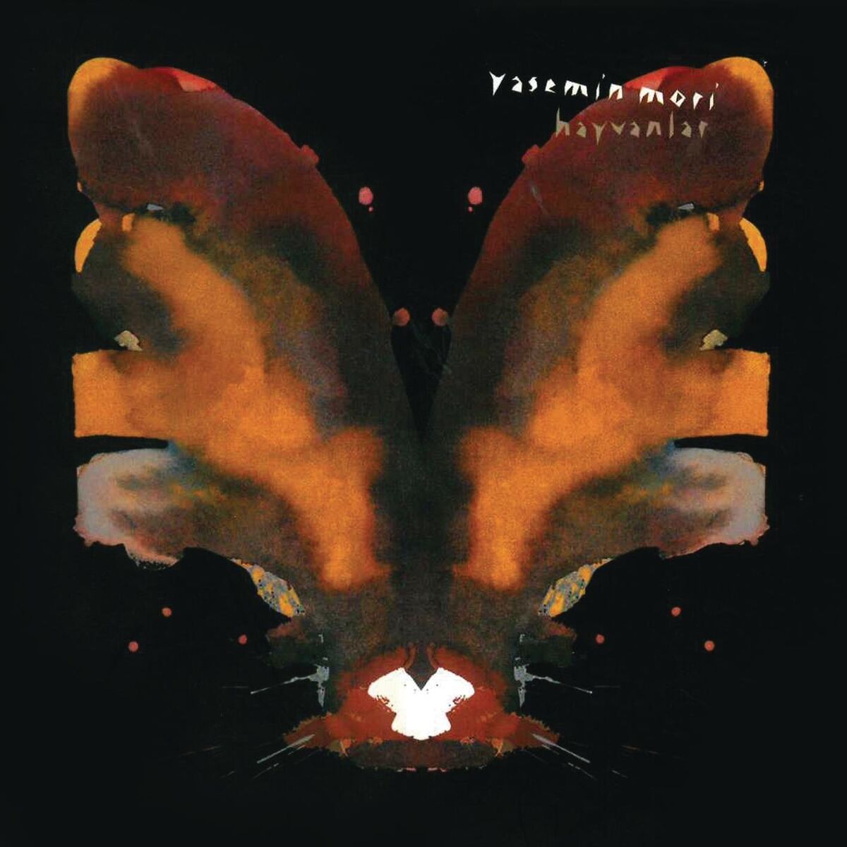 Album cover of Aslında Bir Konu Var