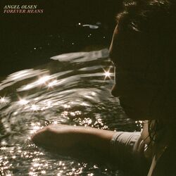 Cover of Forever Means