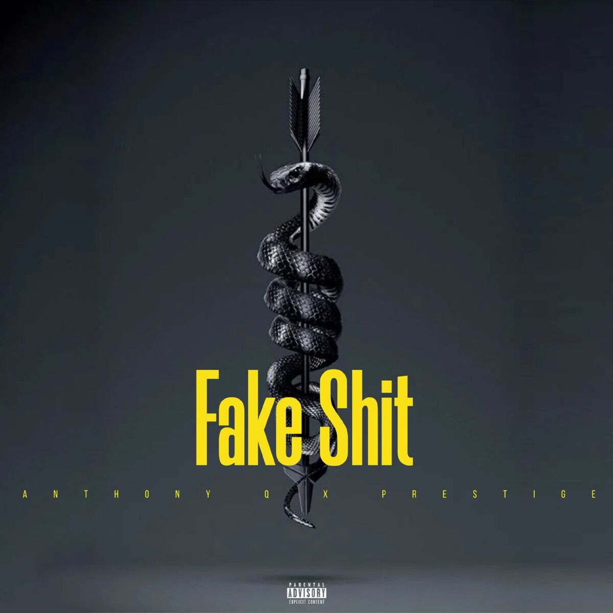 Album cover of Fake Shit