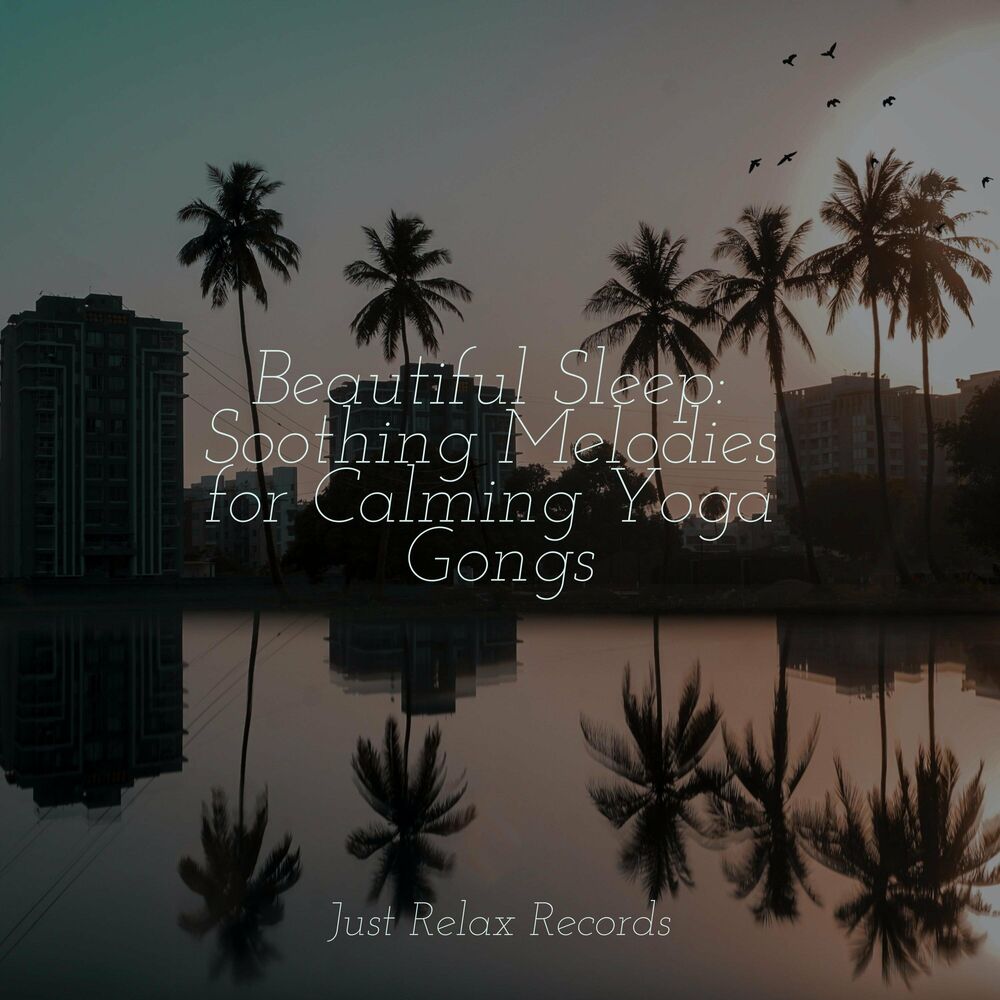Picture of Beautiful Sleep: Soothing Melodies for Calming Yoga Gongs