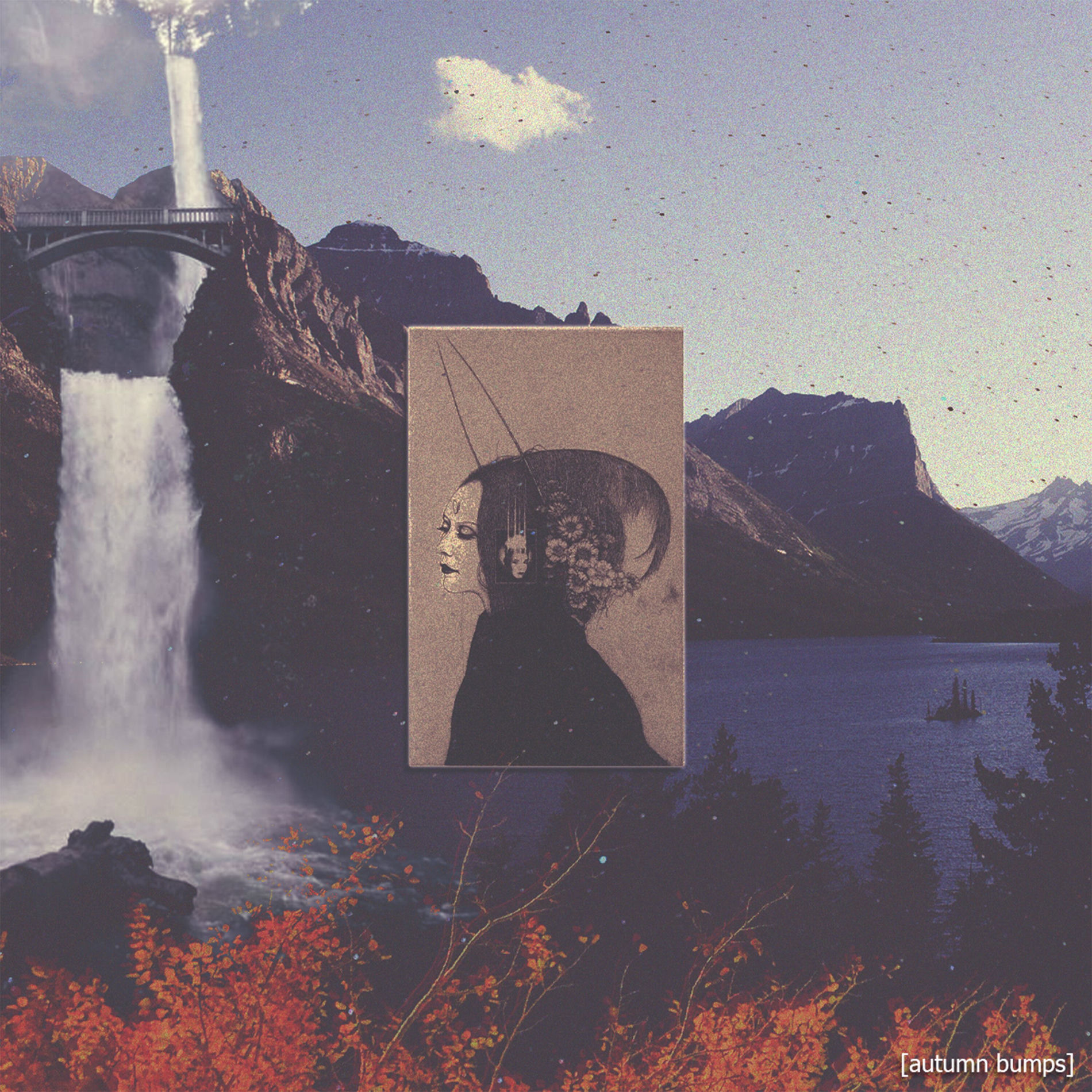 Album cover of (autumn bumps)