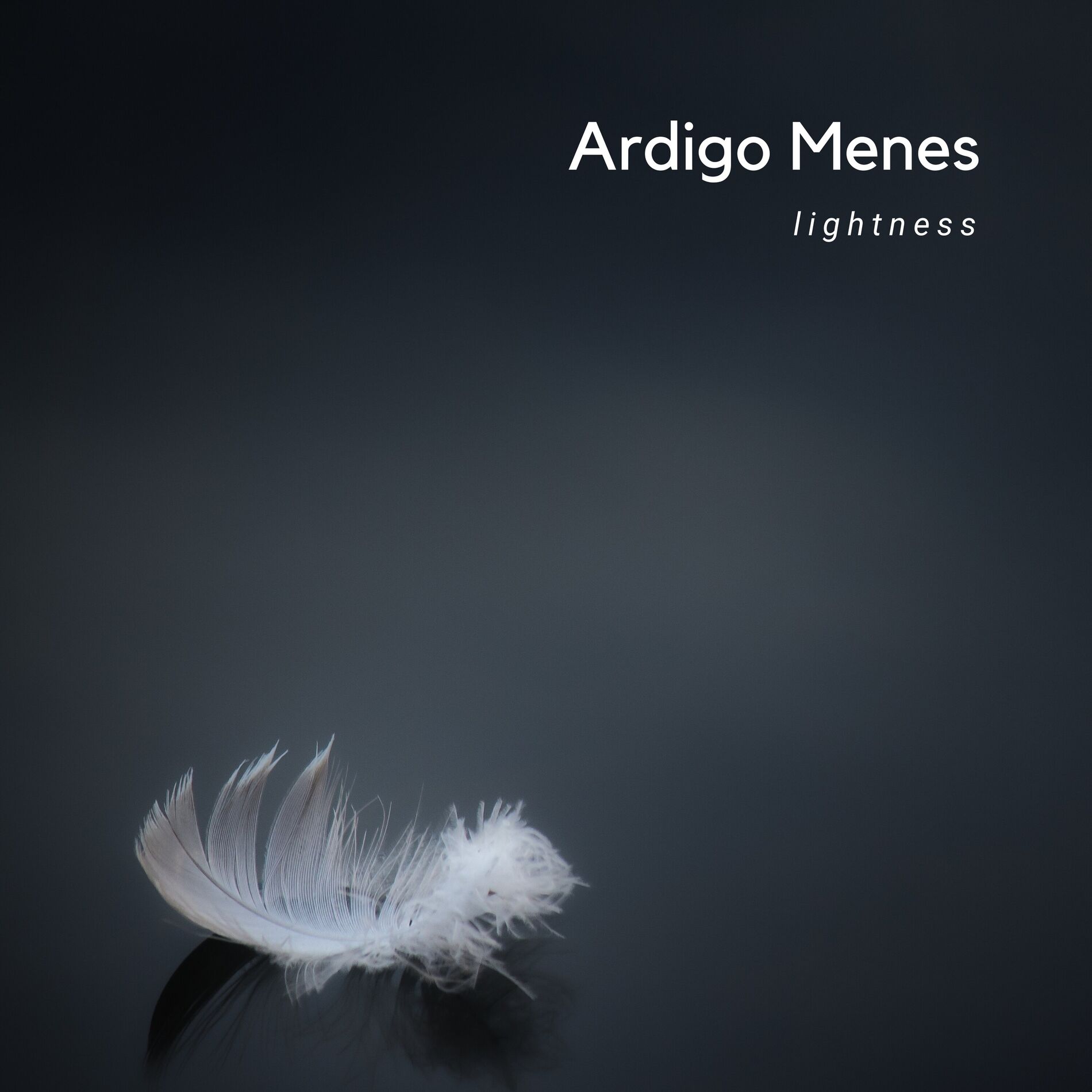 Album cover of Lightness