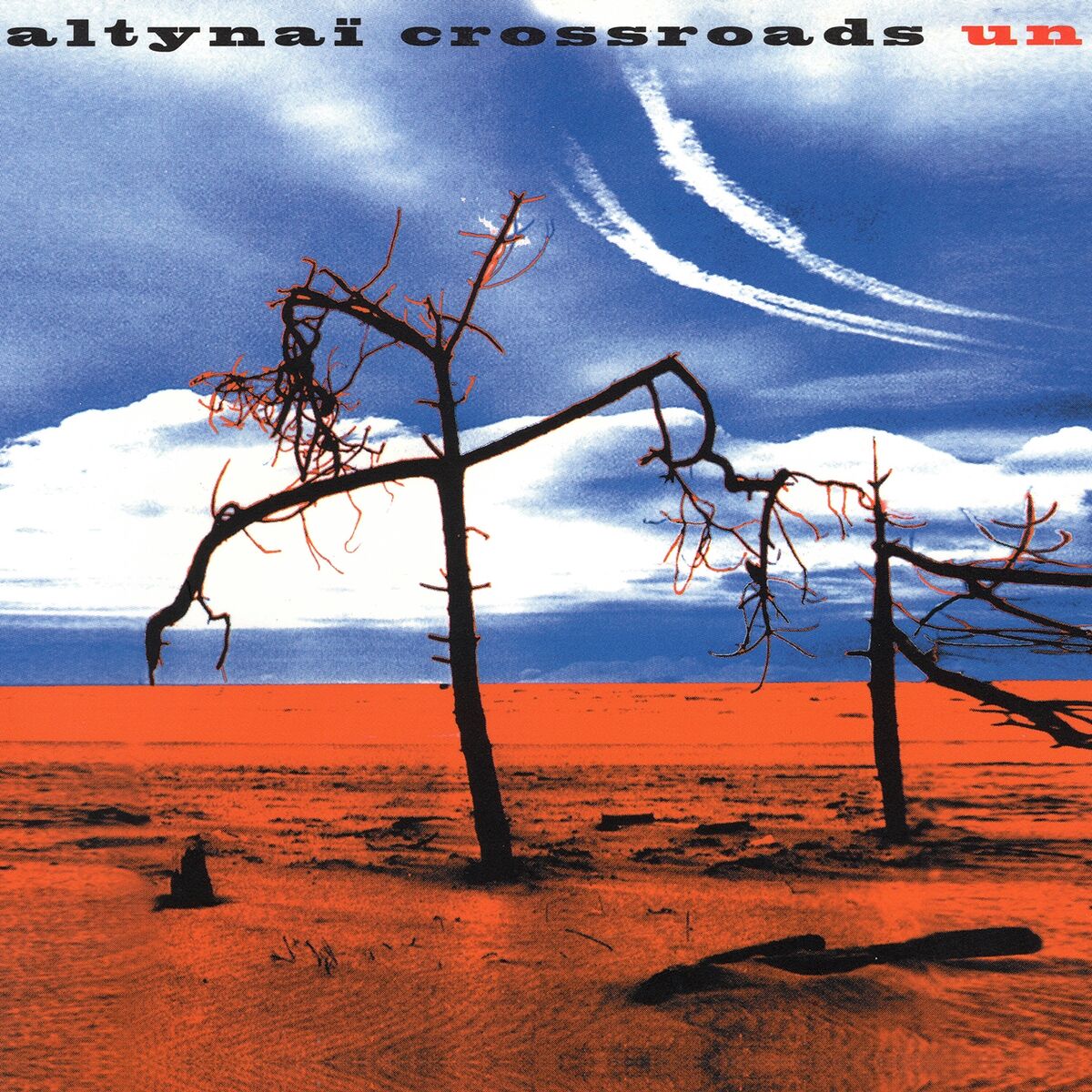 Album cover of Altynaï Crossroads Un