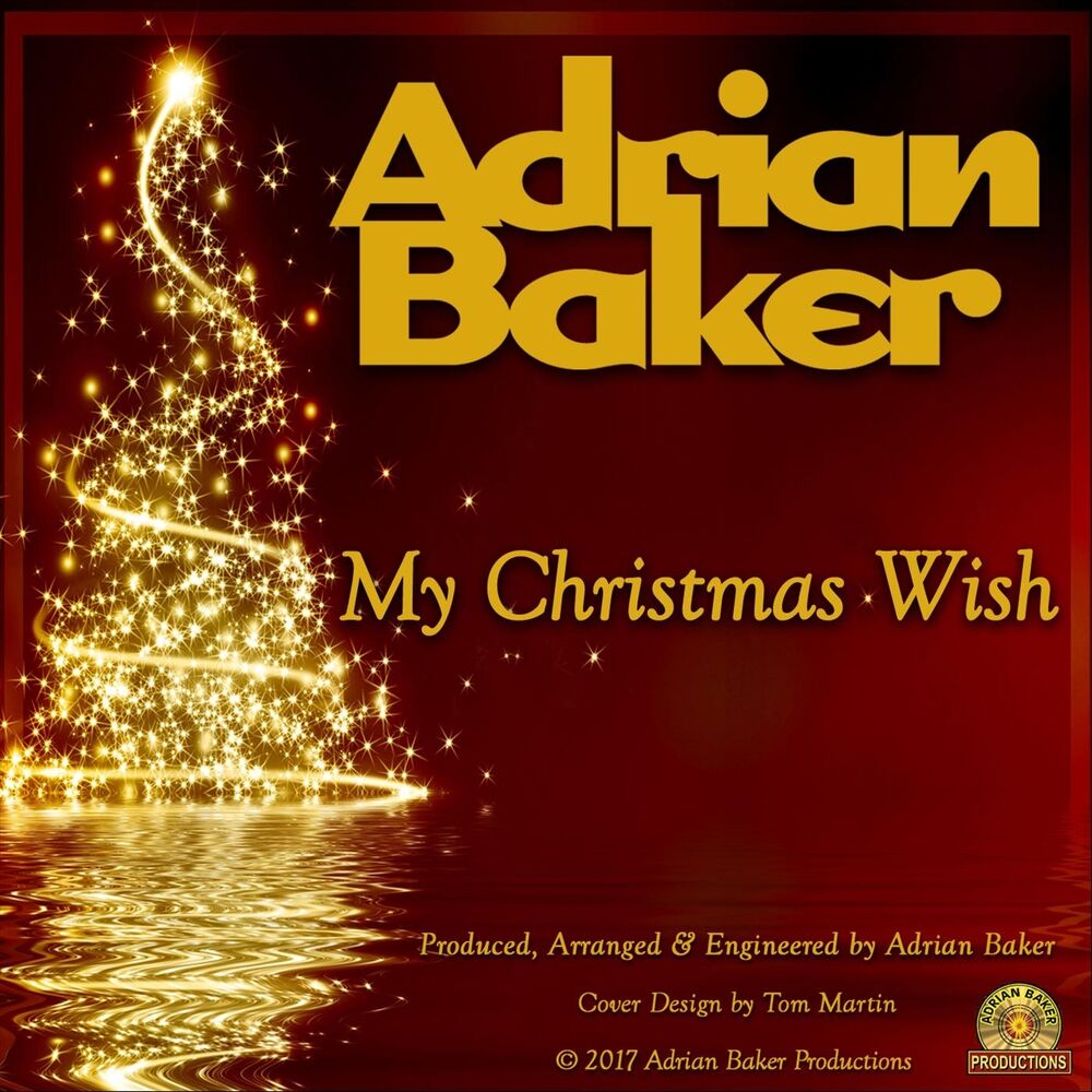 Picture of My Christmas Wish