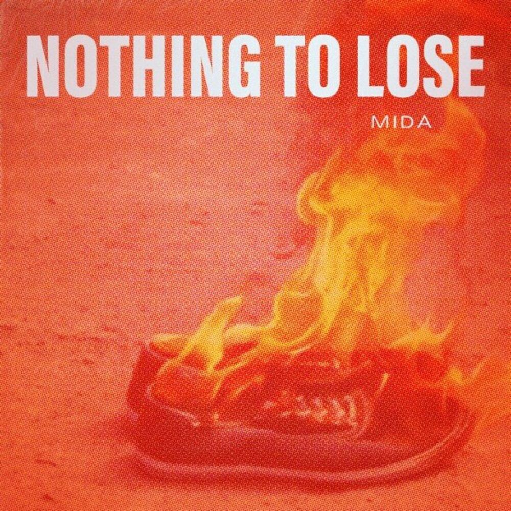 Picture of Nothing to Lose