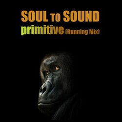 Cover of Primitive (Running Mix)