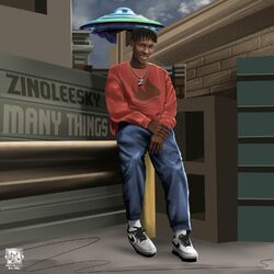 Cover of Many Things