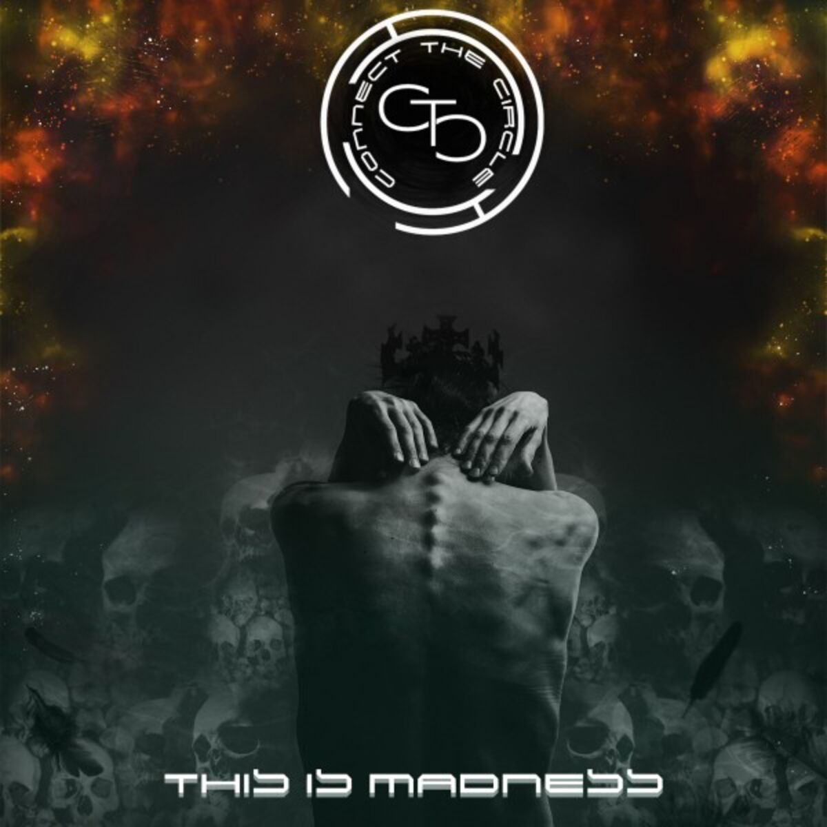 Album cover of This Is Madness