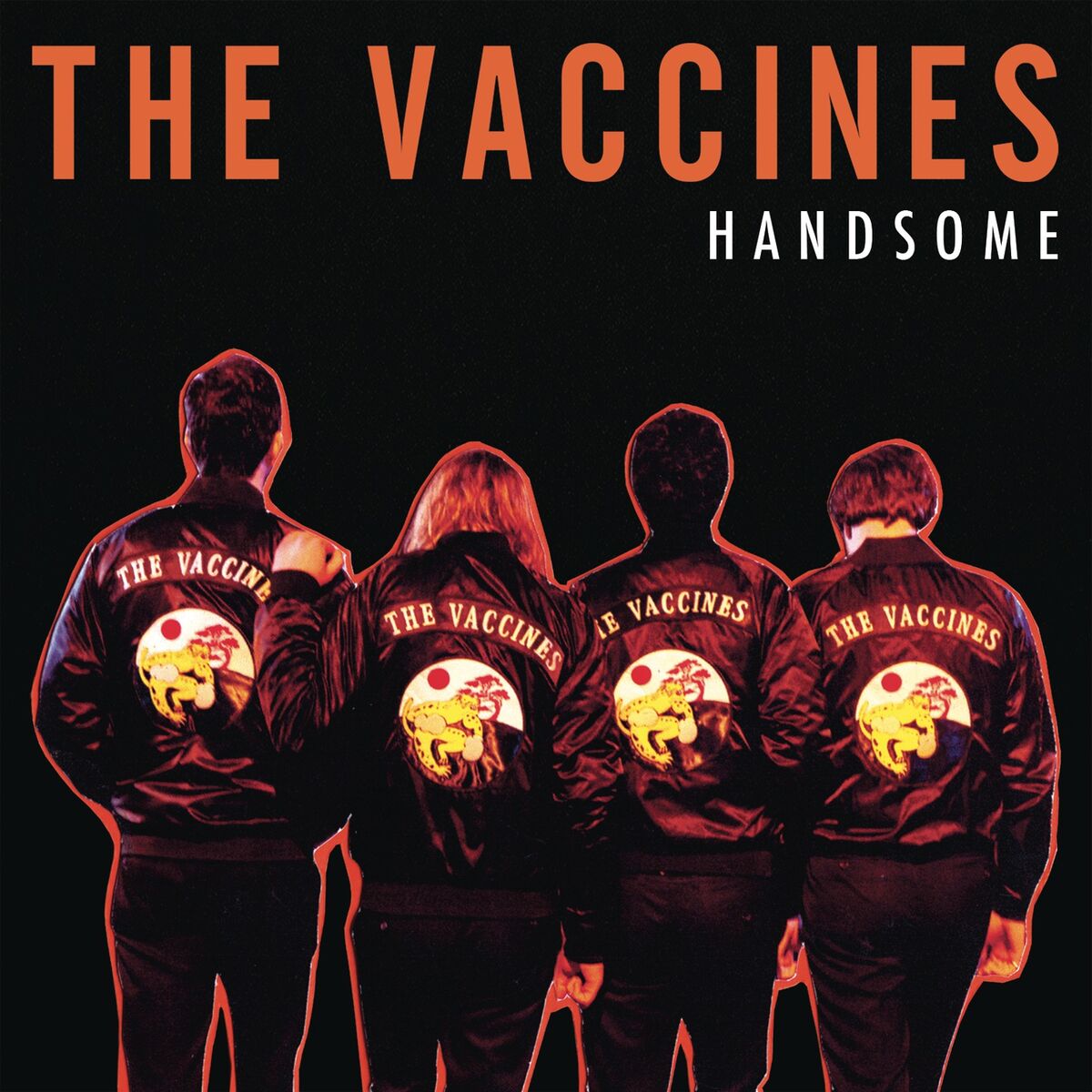 Album cover of Handsome
