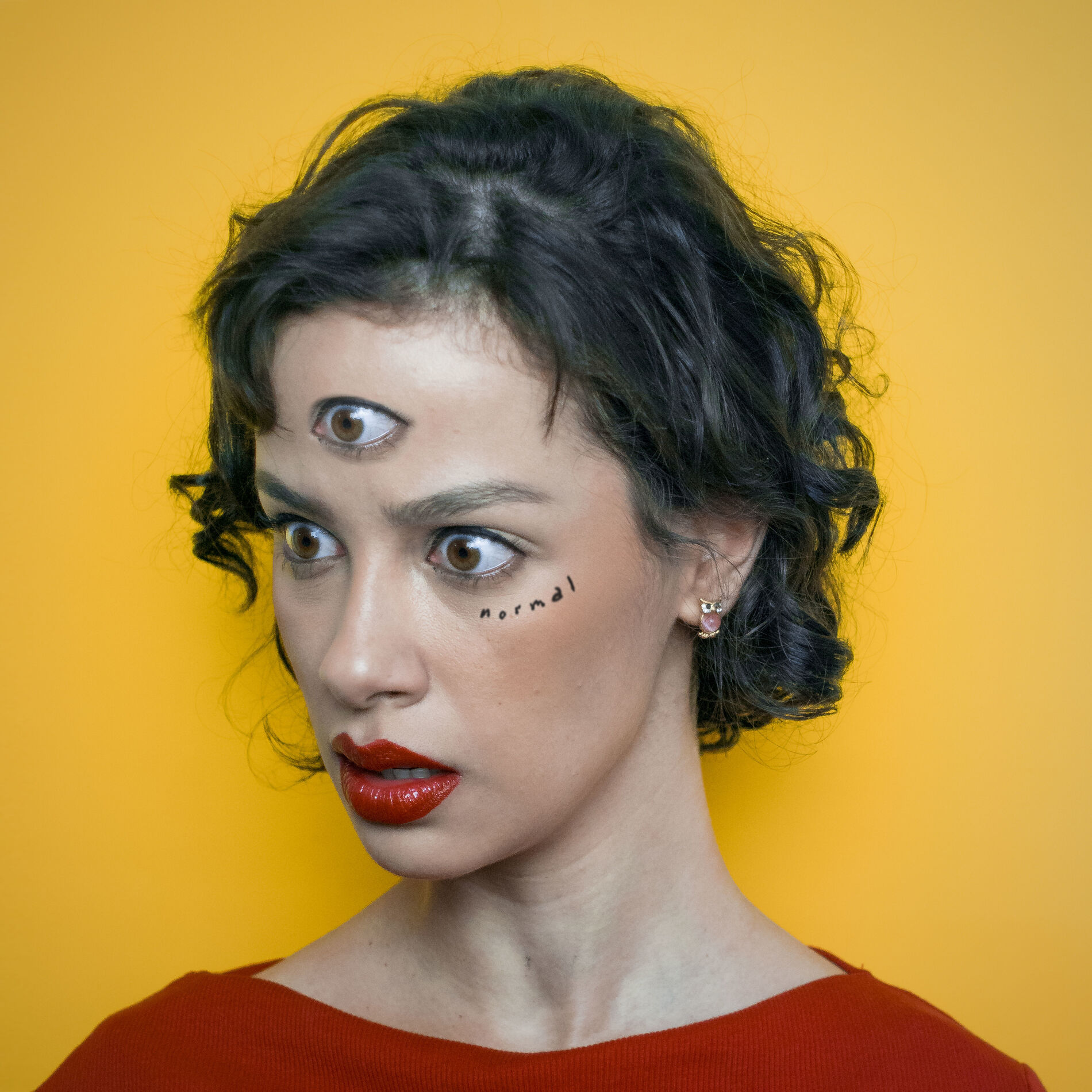 Album cover of Normal