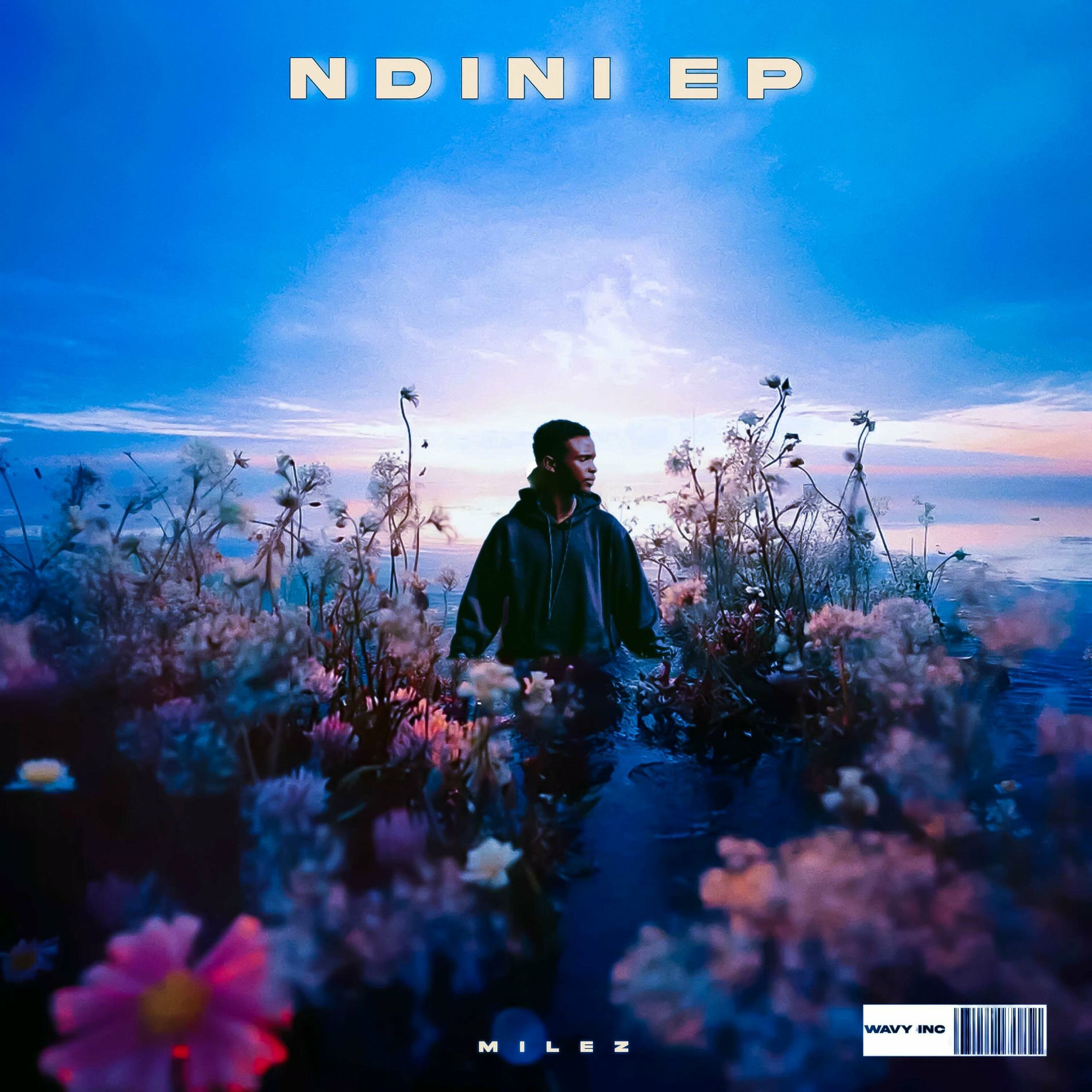 Album cover of Ndini EP