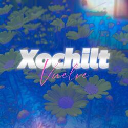 Cover of Vuelve