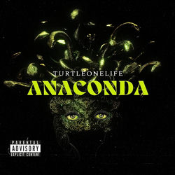 Descargar Anaconda - Turtleonelife MP3
