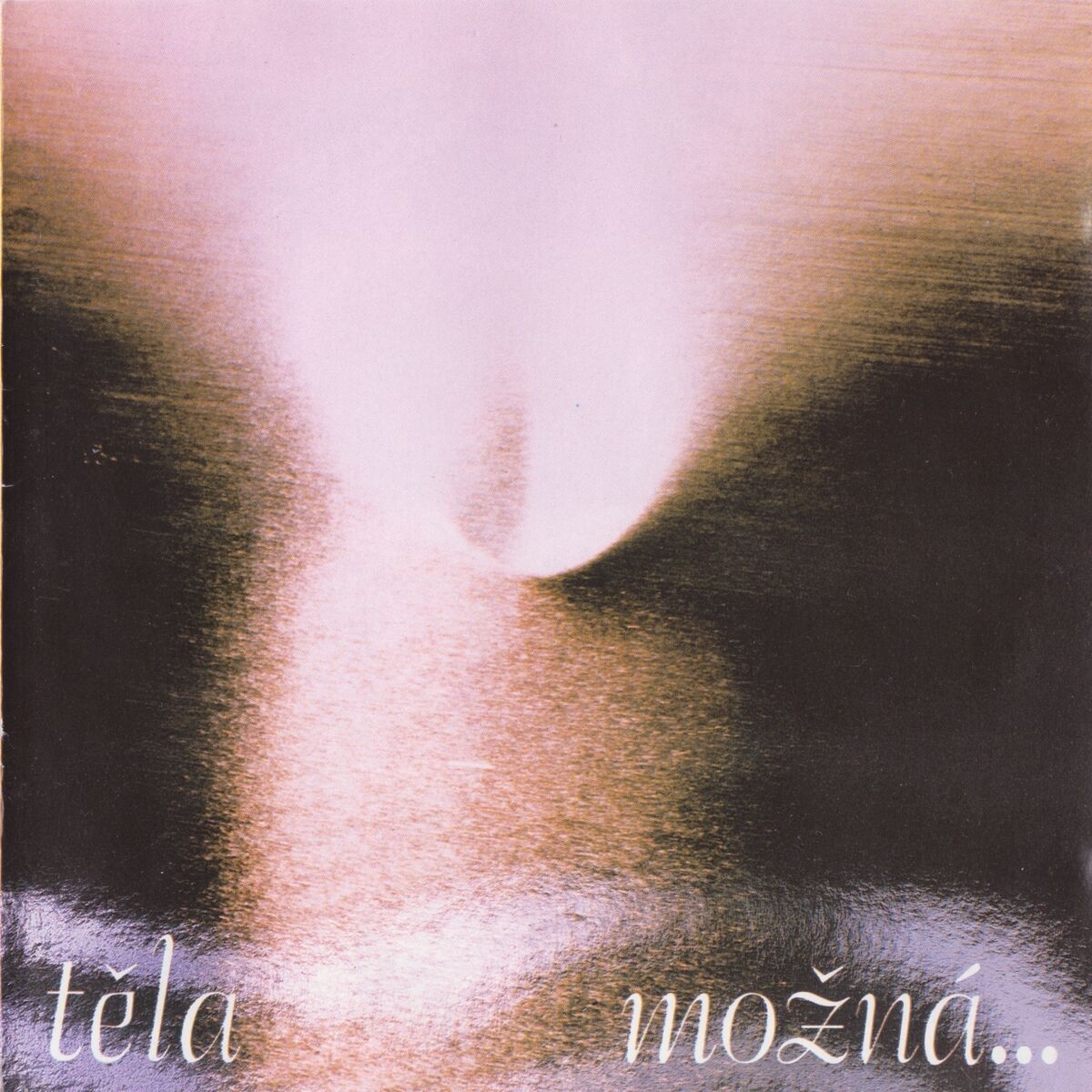 Album cover of Možná...