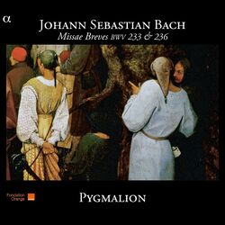 Cover of Bach: Missae Breves BWV 233 & 236