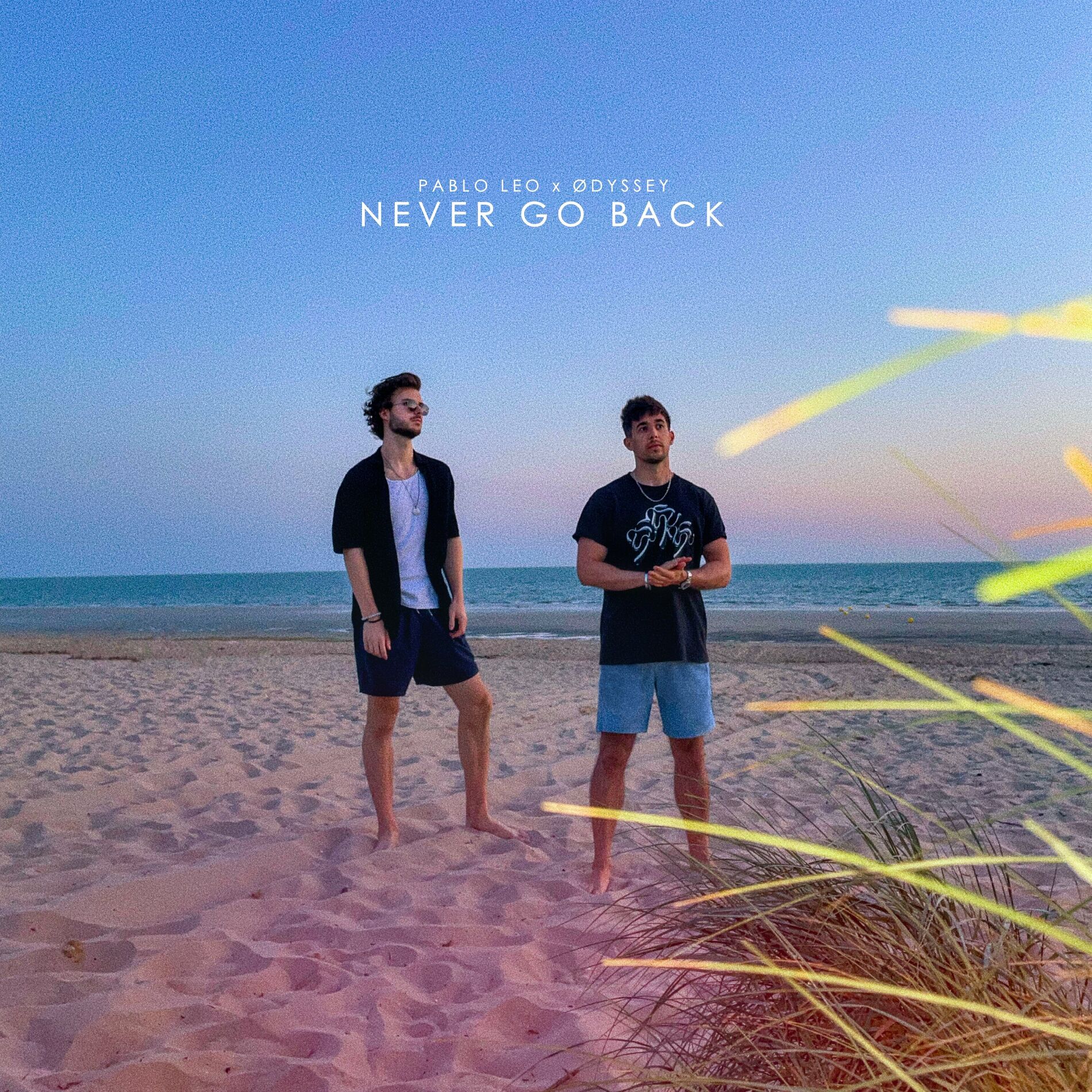 Album cover of Never Go Back