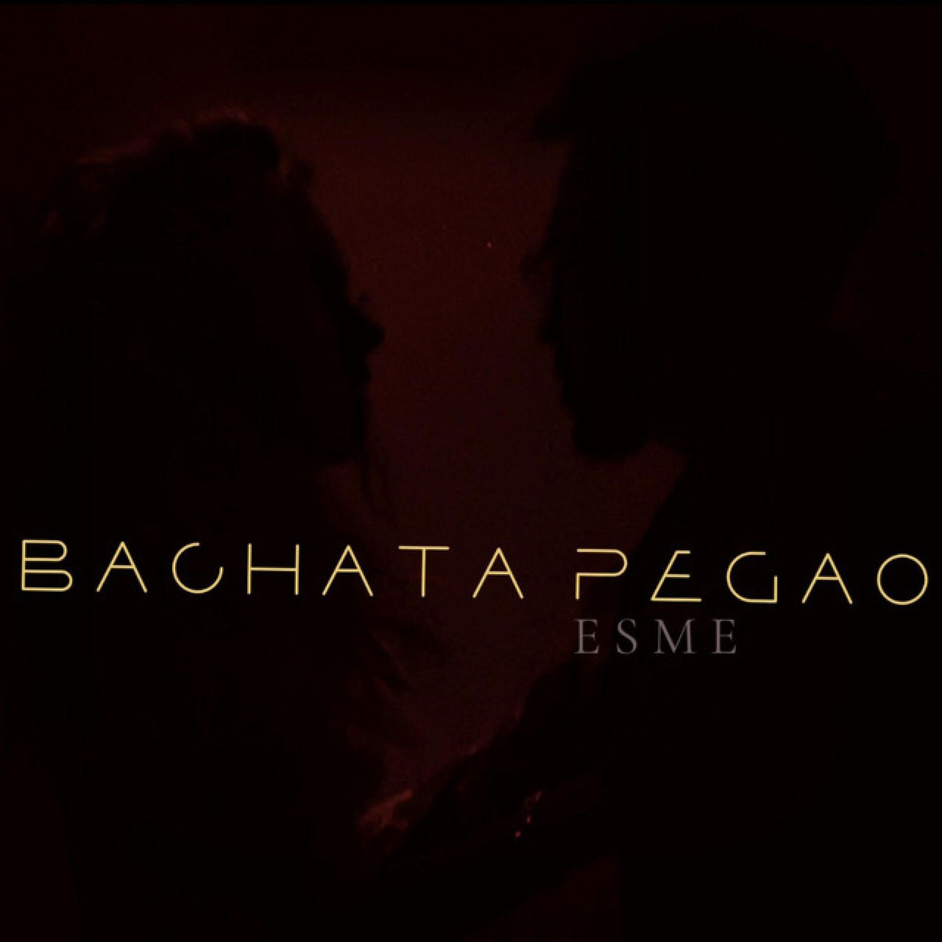 Album cover of Bachata Pegao