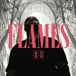 Cover of Flames