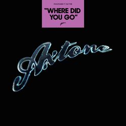 Cover of Where Did You Go