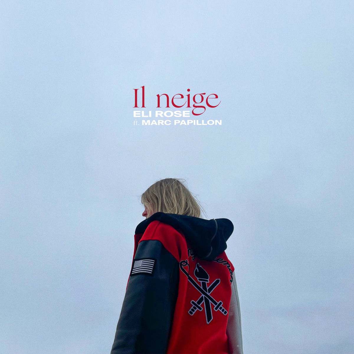 Album cover of Il neige